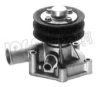 IPS Parts IPW-7798 Water Pump